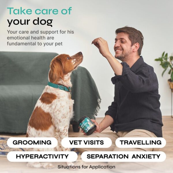Calming Chews for Dogs Anxiety Relief - Hemp Calming Chews for Dogs with Valerian Root, Hemp Seed Oil, Turmeric, L-Theanine - Soft Treats for Storms, Fireworks, Separation, Vet Visits, Grooming - Image 4