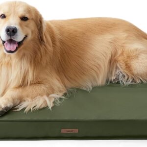 LE SURE Outdoor Waterproof Dog Beds Large Sized Dog, Orthopedic Egg Crate Foam Pet Bed with Oxford Fabric Surface and Removable Washable Cover, Pet Mat 36''x27'', Green