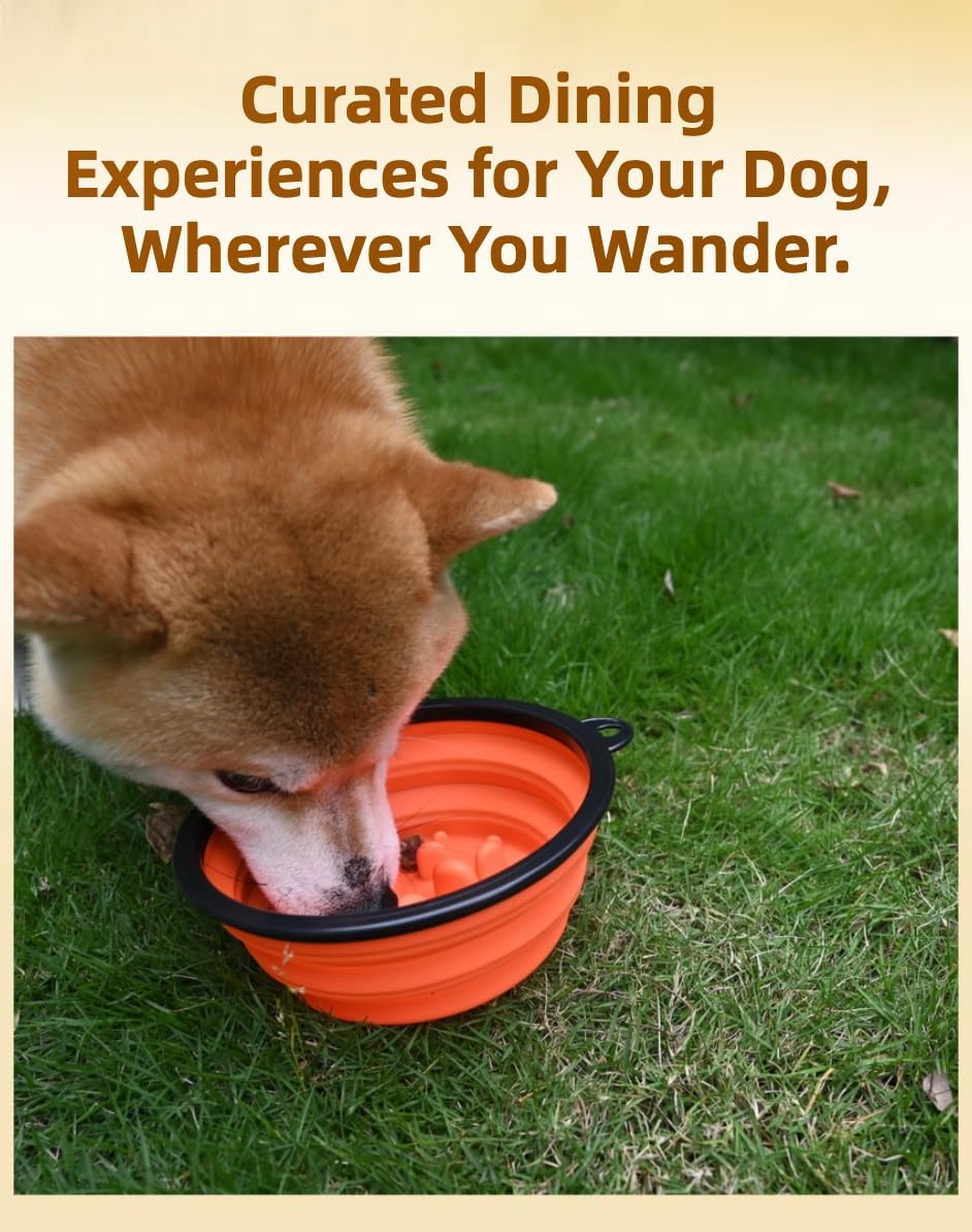 Large Collapsible Dog Bowl for Traveling Hinking Camping,2-Pack Portable Silicone Bowls with2 Sizes(34oz+12oz),Foldable Bowl with Slow Feeding Function - Image 3