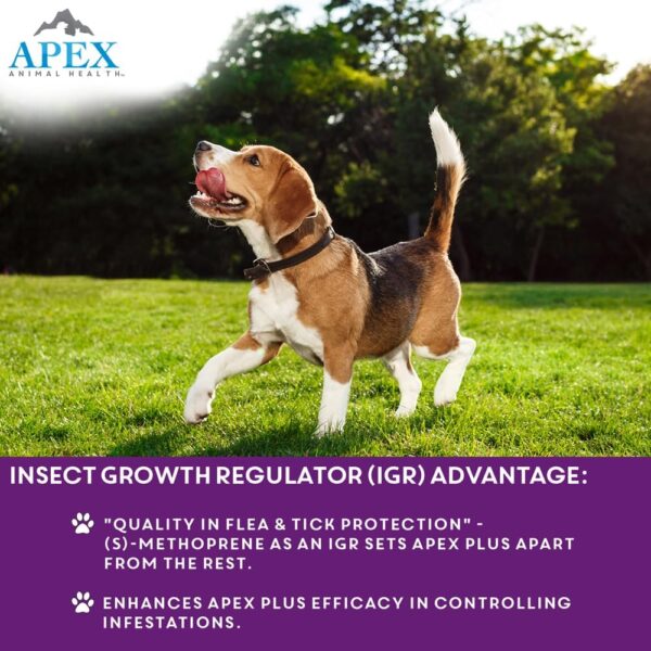Apex Plus Flea and Tick Prevention for Dogs | Large (45-88 lbs) | 6-Month Supply | Dog Flea and Tick Treatment | 24-Hour Activation, Waterproof, 30-Day Protection - Image 5