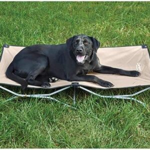 Carlson Pet Products Large Portable Pup Travel Pet Bed, Tan
