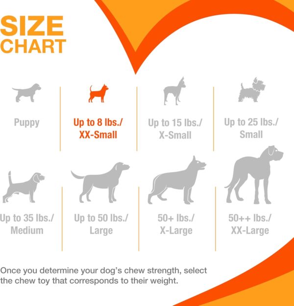 Nylabone Moderate Chew Flexi Chew Bone Peanut Butter & Bacon XX-Small/Tiny (2 Count) - Image 3