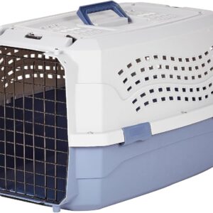Amazon Basics 2-Door Top-Load Hard-Sided Dogs, Cats Pet Travel Carrier, Gray & Blue, 22.8"L x 15.0"W x 13.0"H