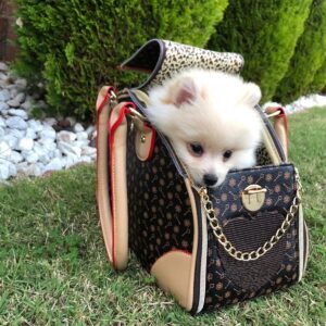 Adriene’s Choice Luxury Pet Carrier, Puppy Small Dog Carrier, Cat Carrier Bag, Waterproof Premium PU Leather Carrying Handbag for Outdoor Travel Walking Hiking Shopping