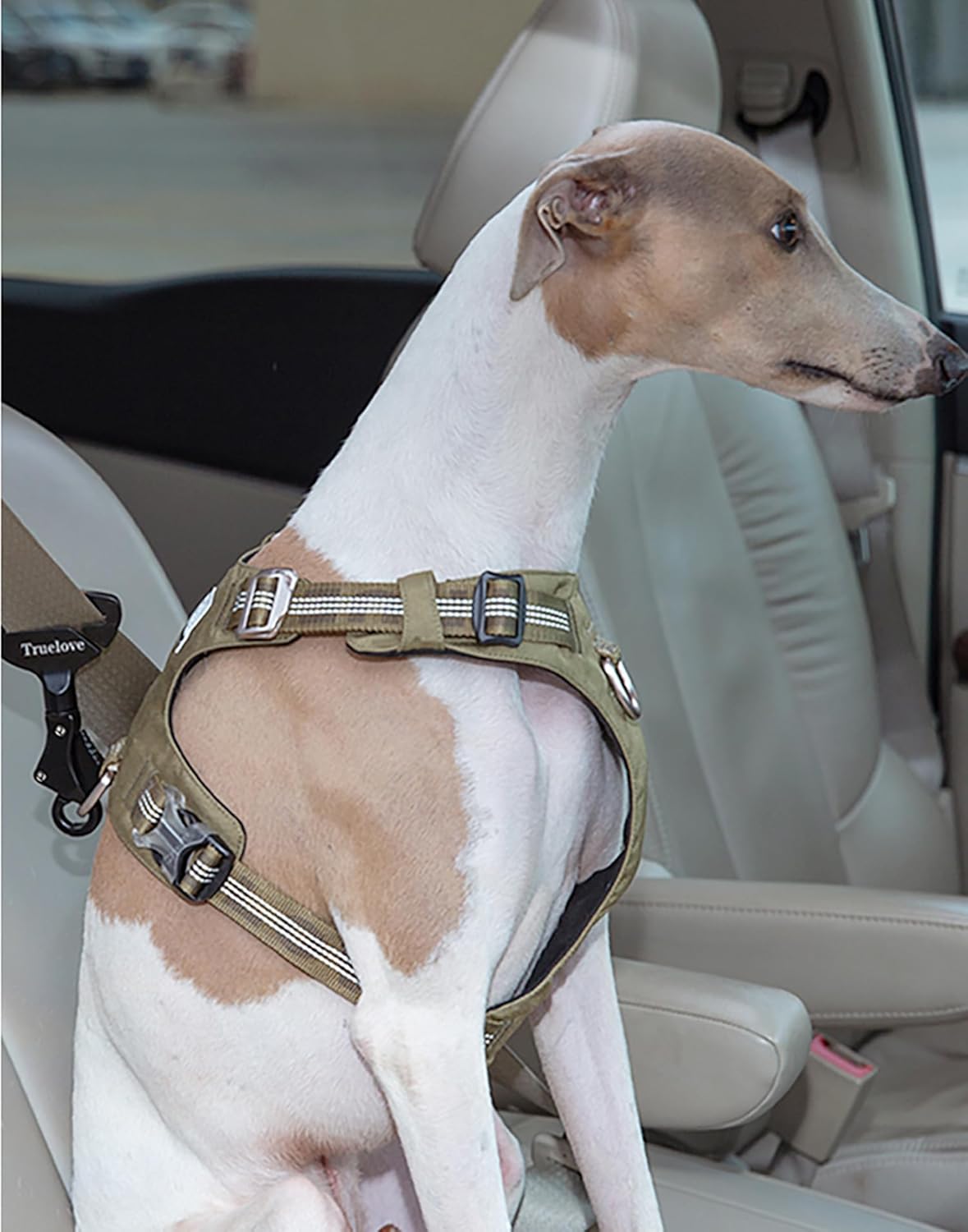 TRUE LOVE Vehicle Seat Belt Safety Buckle Lock, Fit Pet Harness Dog Car Travel Portable Lightweight - Image 6