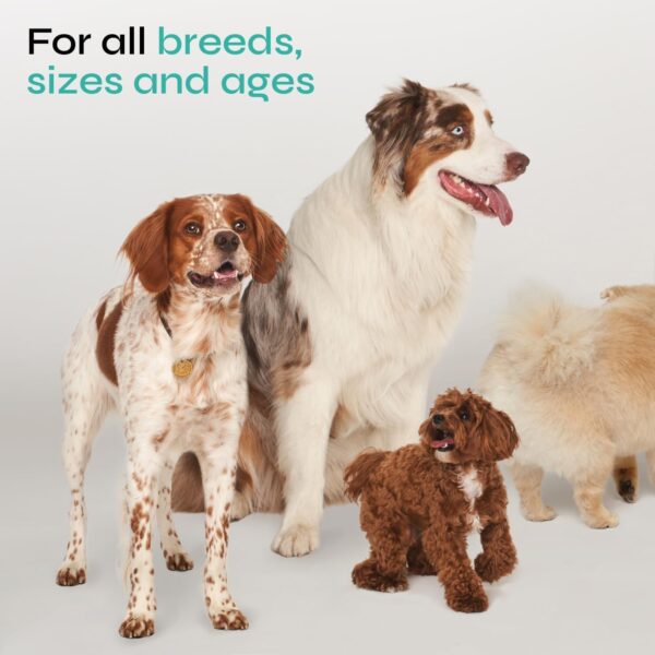 Calming Chews for Dogs Anxiety Relief - Hemp Calming Chews for Dogs with Valerian Root, Hemp Seed Oil, Turmeric, L-Theanine - Soft Treats for Storms, Fireworks, Separation, Vet Visits, Grooming - Image 7