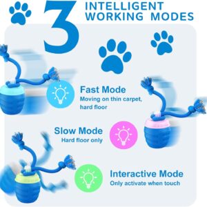 Interactive Dog Toys – [2025 Newly Upgraded] Motion Activated Ball for Small/Medium/Large Dogs, Automatic Moving Dog Toy Wicked Ball for Boredom & Training, Music, USB Rechargeable (Blue)