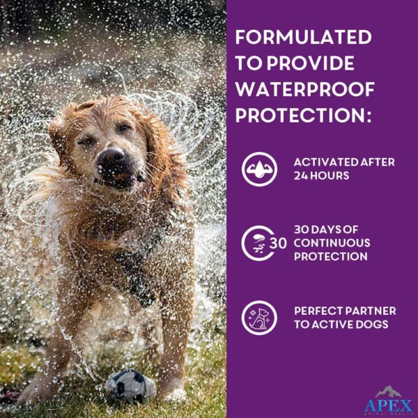 Apex Plus Flea and Tick Prevention for Dogs | Large (45-88 lbs) | 6-Month Supply | Dog Flea and Tick Treatment | 24-Hour Activation, Waterproof, 30-Day Protection - Image 8
