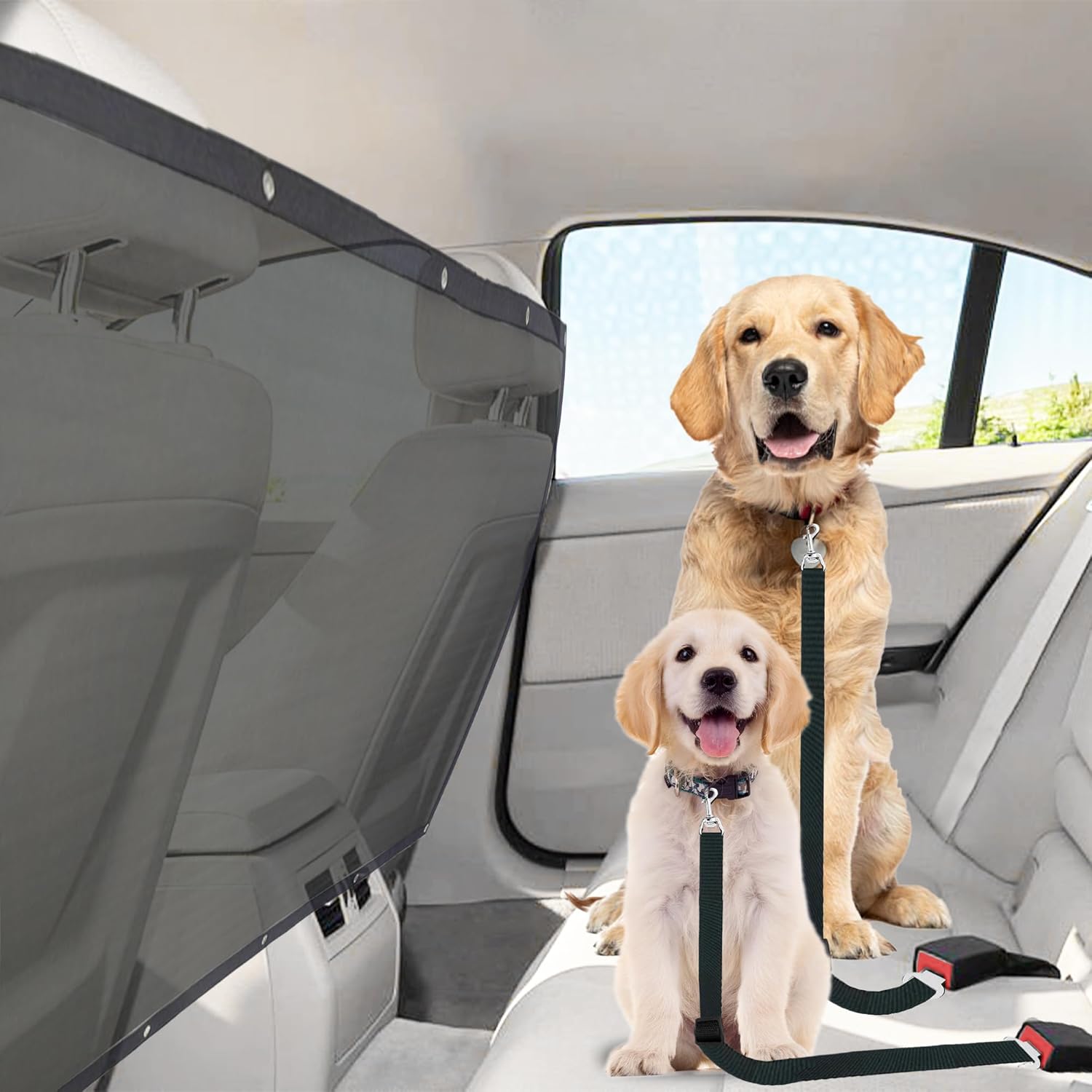 SunGrow Dog Seat Belts with Barrier, 2 Adjustable 28" Nylon Belts, 24" x 45" Micro Mesh Net Divider for Cars, SUVs, and Trucks, 4 Hooks and Luggage Ropes for Assembly, Black, 1 Set per Pack - Image 2
