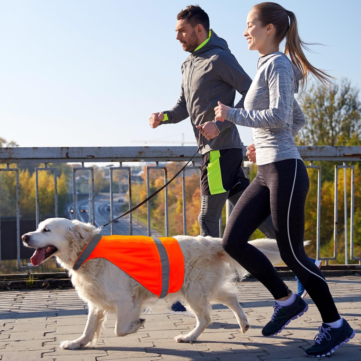 DQGHQME Blaze Orange Dog Vest High Visibility Outdoor Dog Safety Vest,Dog Hunting Vest Reflective Dog Vest Make Your Dog More Visible and Safe in Hunting Season or For Dog Night Walking,Activities - Image 3