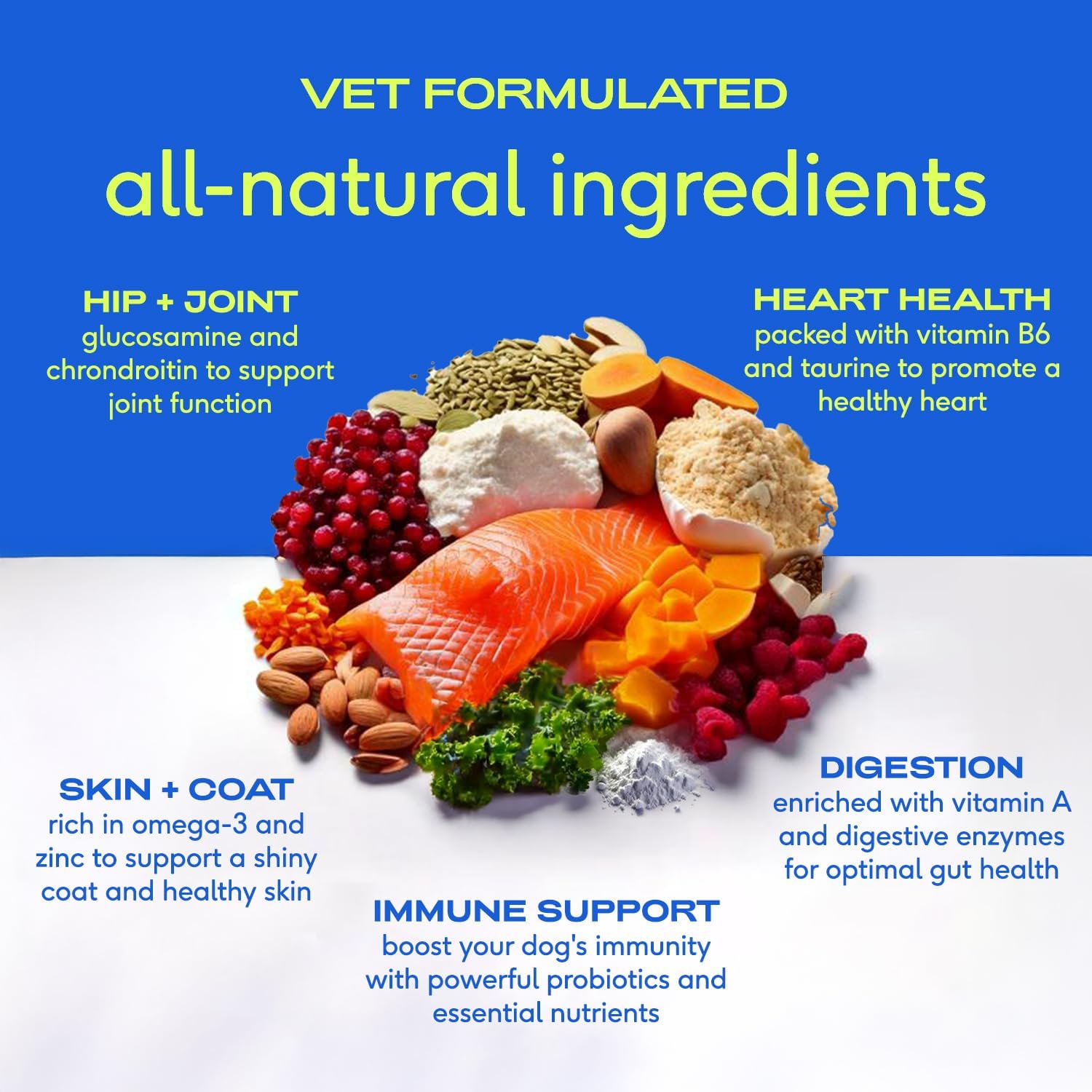 Native Pet Dog Vitamins & Supplements - 11-in-1 Multivitamin Powder for Dogs Food Topper - Collagen, Glucosamine, Probiotics, Omega & More- Supports Healthy Gut, Mobility & Overall Health -30 Scoops - Image 3