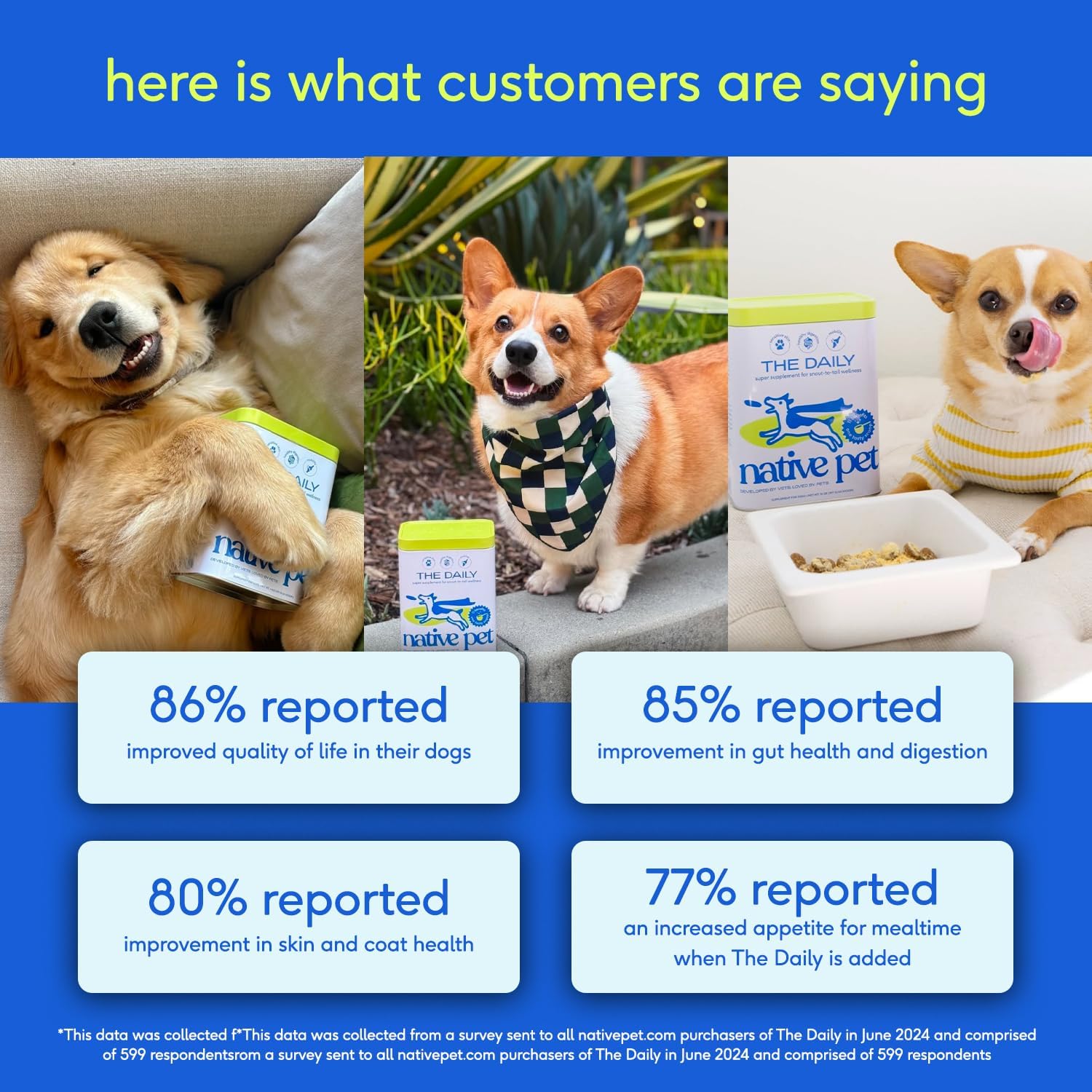 Native Pet Dog Vitamins & Supplements - 11-in-1 Multivitamin Powder for Dogs Food Topper - Collagen, Glucosamine, Probiotics, Omega & More- Supports Healthy Gut, Mobility & Overall Health -30 Scoops - Image 9