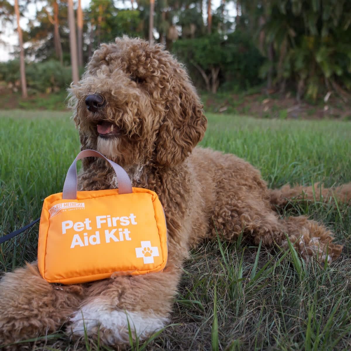 Pac-Kit Pet First Aid Kit for Dogs, Cats, and Other Animals in Soft-Sided Organized Zipper Case, 38 Pieces - Image 6