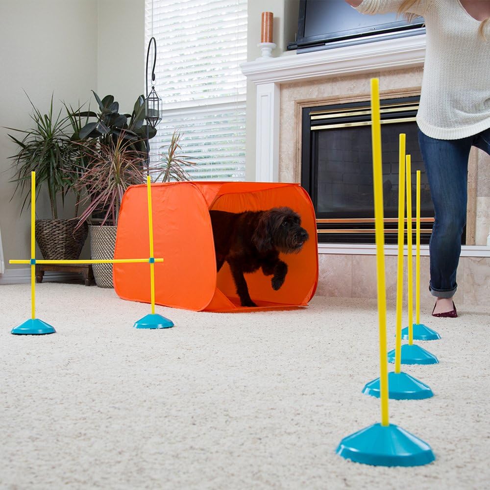 Outward Hound Zip & Zoom Indoor Dog Agility Training Kit for Dogs - Image 5