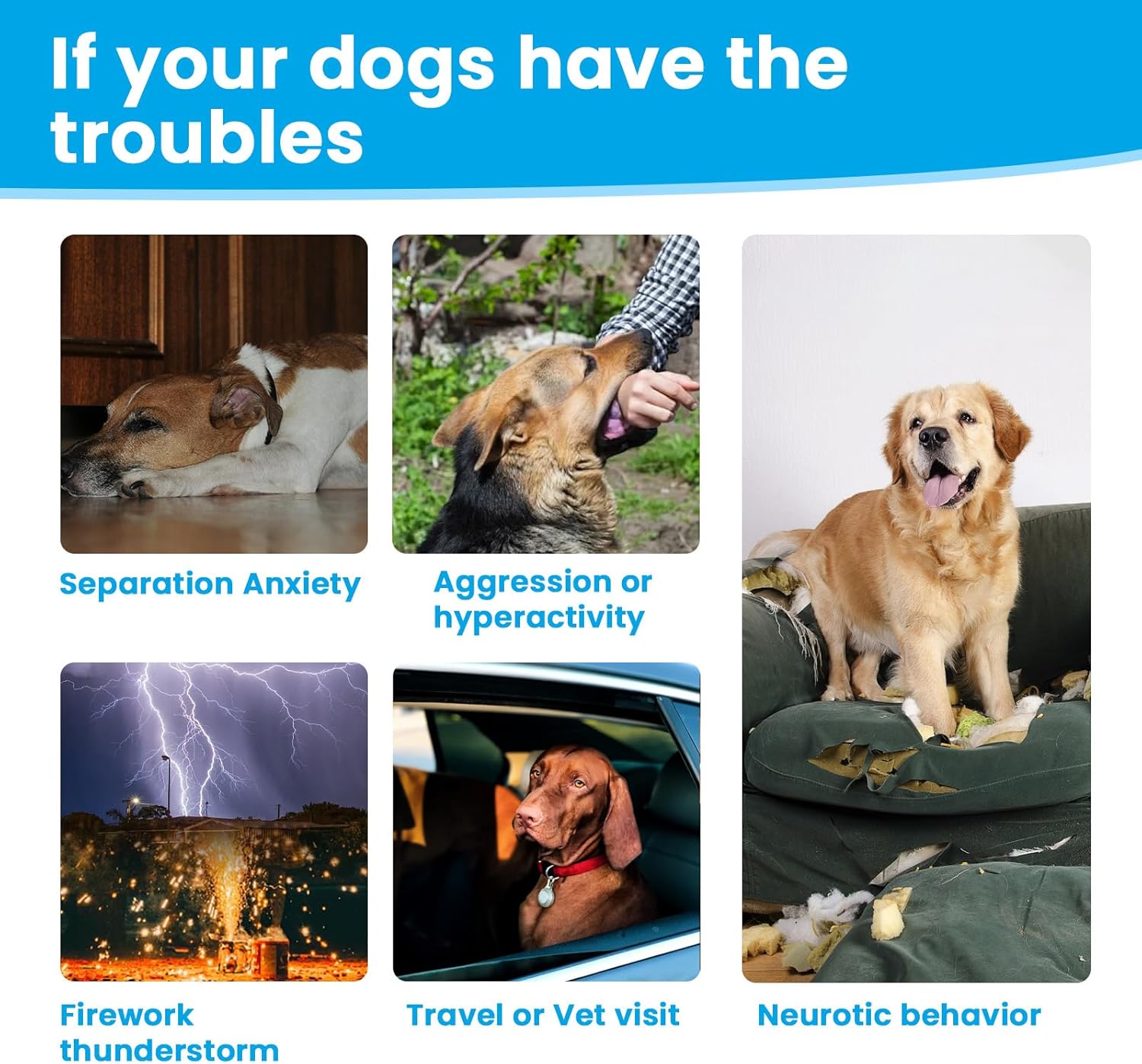 Dog Calming Chews for Anxiety Relief-Natural Stress Support with Chamomile,Valerian Root, Melatonin & L-Theanine- Helps for Separation,Barking,Thunderstorm,Fireworks,Travel,Vet Visit -100 Soft Chews - Image 2