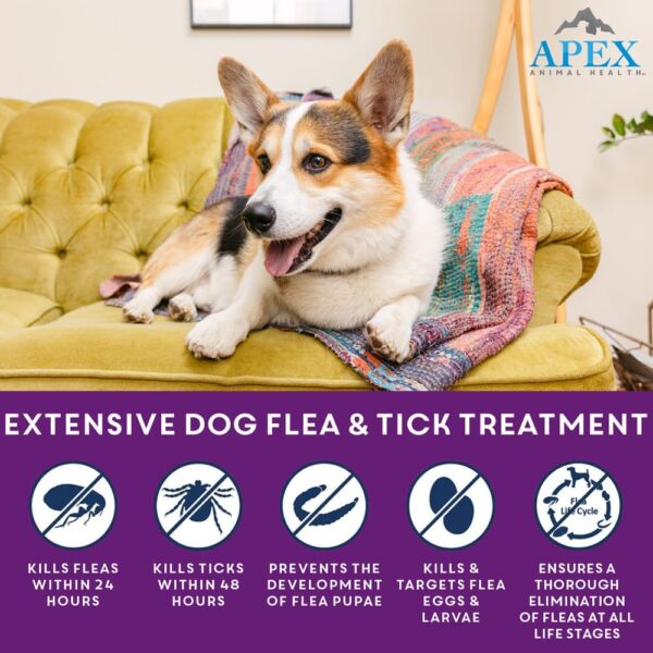 Apex Plus Flea and Tick Prevention for Dogs | Large (45-88 lbs) | 6-Month Supply | Dog Flea and Tick Treatment | 24-Hour Activation, Waterproof, 30-Day Protection - Image 2