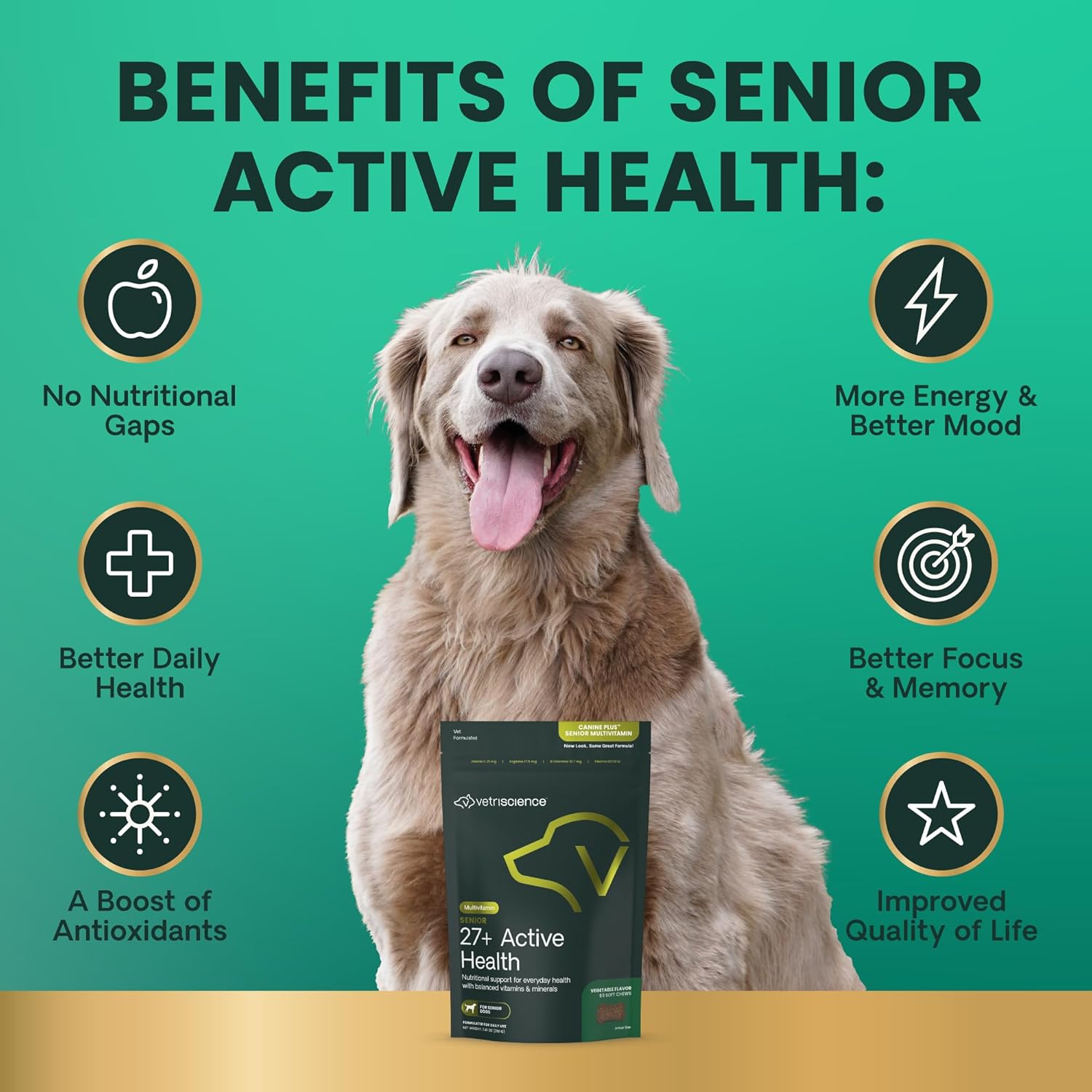 VetriScience Senior 27+ Active Health Chews, Canine Plus Daily Multivitamin for Senior Dogs, Balanced Vitamins, Minerals and Antioxidants, Healthy Aging and Wellness Support, Veggie, 60 Count - Image 3