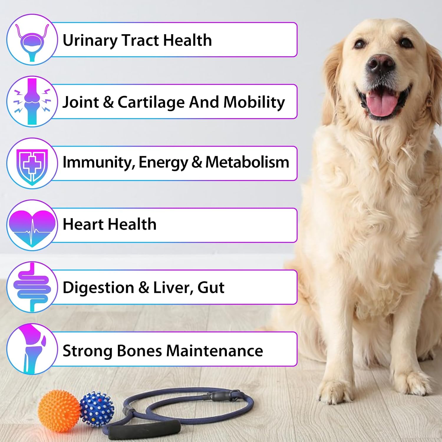 Dog Multivitamin,15 in 1 Dog Multivitamin Liquid Drops Supplements, Dog Vitamins for Heart Health, Bones, Joint, Skin & Coat, Bladder, Immune System Support 60ml - Image 2