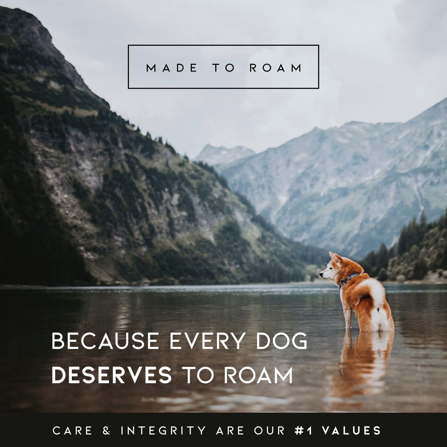 Made to ROAM Premium Dog Collar - Adjustable Heavy Duty Nylon Collar with Quick-Release Metal Buckle (Maine Marina, Classic Size 3) - Image 9