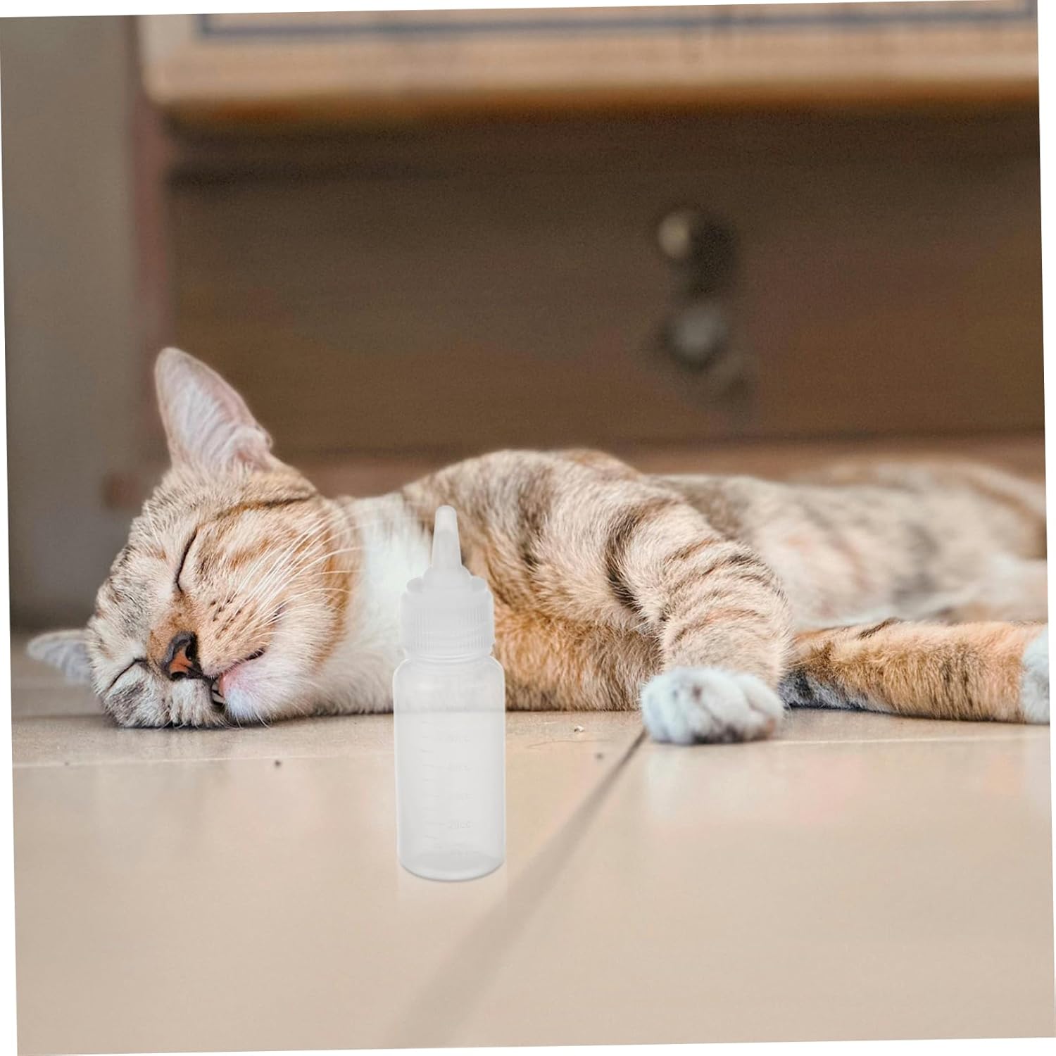 BESPORTBLE 4sets Newborn Pet Nursing Bottle Feeder for Kittens Puppies Portable Optimal Capacity Kit for - Image 5