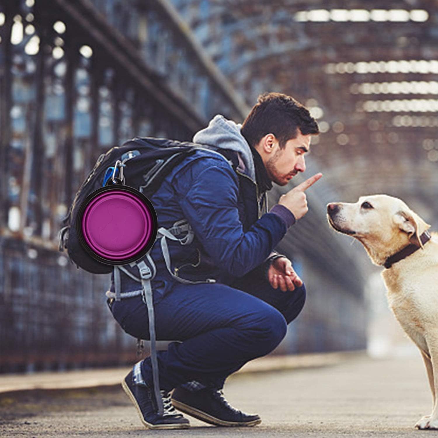 Large Collapsible Dog Bowls, 34oz Travel Water Food Bowls Portable Foldable Collapse Dishes with Carabiner Clip, 2 Pack (Purple+Red) - Image 2