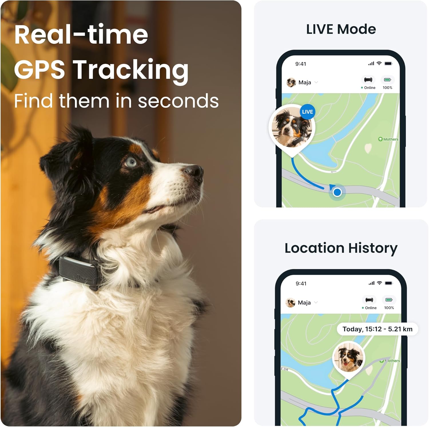 Tractive GPS Dog Tracker (2025 Release) Real-time Pet Location Tracker | Health & Wellness Alerts | Virtual Fence for Dogs | Bark Monitoring (Black w/Yellow Cover) - Image 2