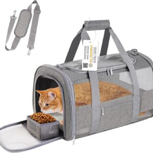 Soft Sided Cat Carrier for Small Cats Puppies up to 15 Lbs, Airline Approved Pet Carrier Collapsible Travel Puppy Carrier with Reflective Strip, Grey