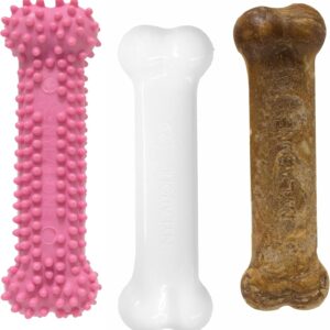 Nylabone Puppy Chew Toys & Natural Treat Triple Pack, Puppy Enrichment Teething Toys, Pink, Chicken & Bacon Flavor, Small Dogs - Up to 25 Ibs, 3 Pack