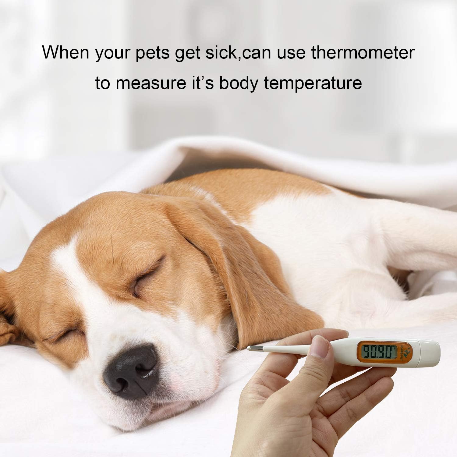 Pet First Aid Kit for Dog, Cat, Rabbit and Other Animal,with Thermometer, Syringe, Otoscope, Perfect for Home Care and Outdoor Travel Emergencies - Image 2