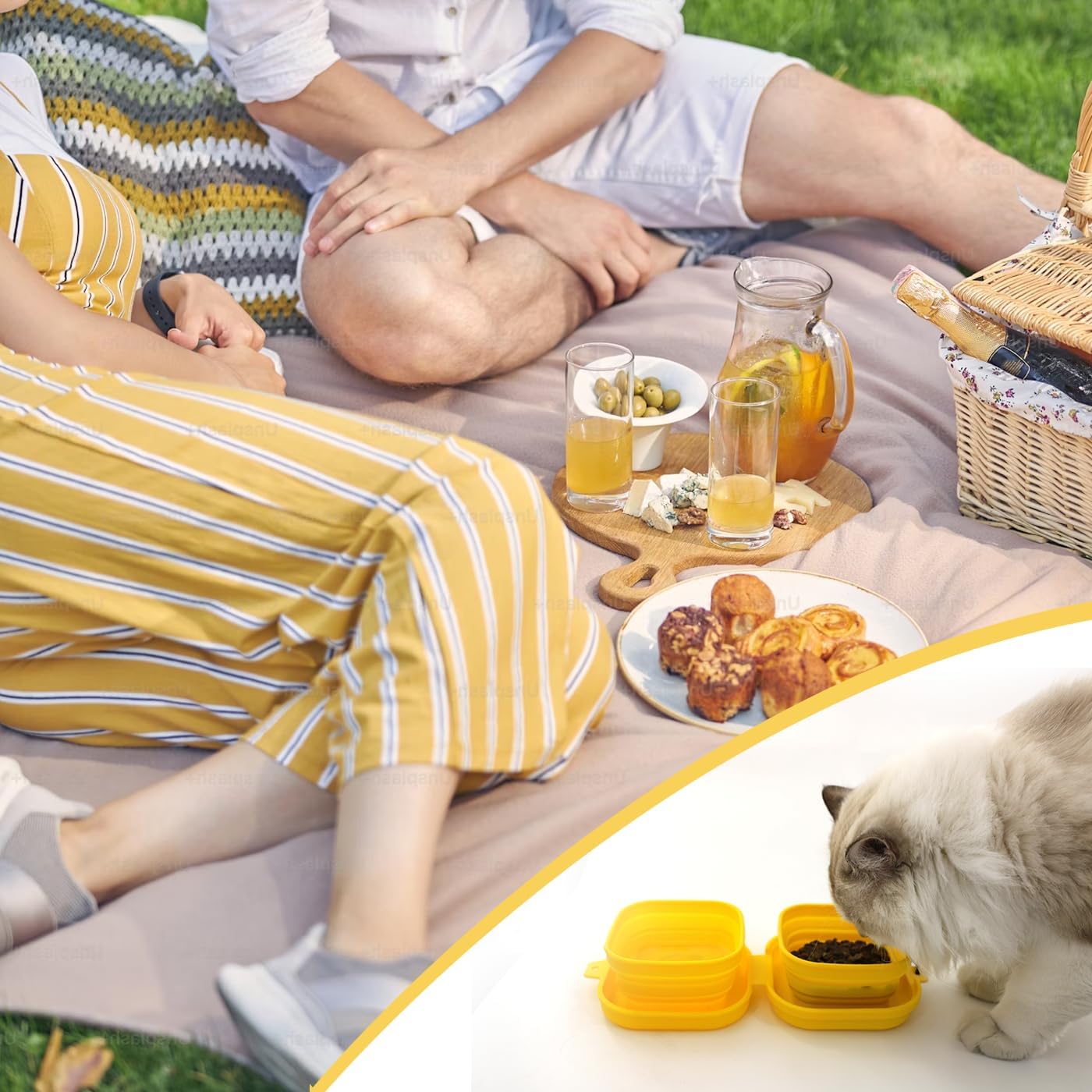 Travel Twin Pet Bowls for Cats or Dogs, Collapsible Silicone Bowls for Food and Water Feeding, Portable Hiking Cat Bowl - Image 6