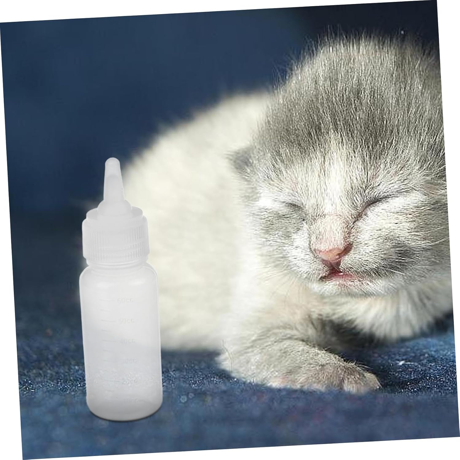 BESPORTBLE 4sets Newborn Pet Nursing Bottle Feeder for Kittens Puppies Portable Optimal Capacity Kit for - Image 9