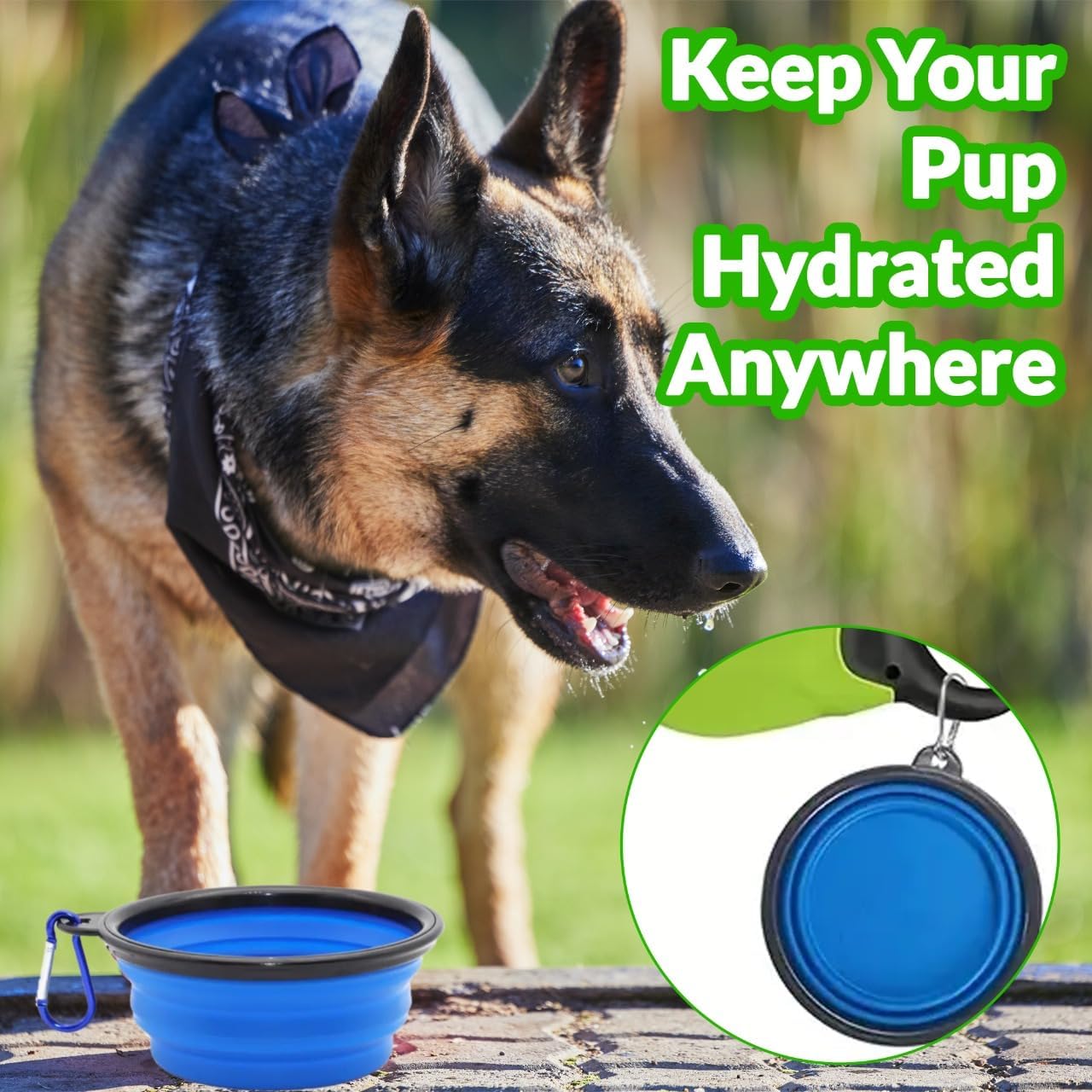 Collapsible Dog Bowls for Travel, 2-Pack Portable Food and Water Bowls for Dogs and Cats with Carabiners, Lightweight, Foldable Pet Dishes for Hiking, Camping, Walking, and Outdoor Adventures - Image 5