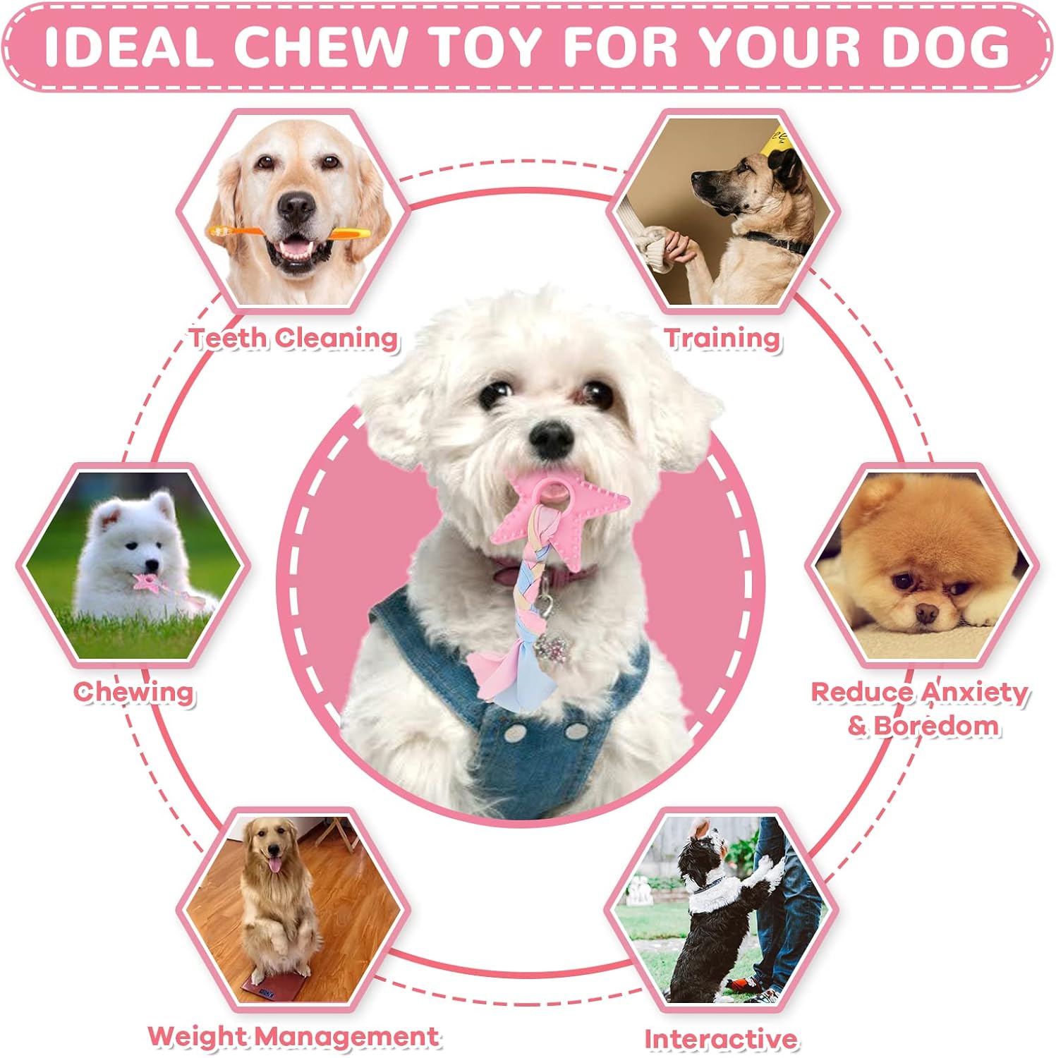 6 Pack Puppy Toys for Teething Small Dogs, Cute Pink Dog Chew Toys for Puppies, Soft Squeaky Dog Toys for Small Breed Cleaning Doggy Teeth, Outdoor Interactive Small Dog Chew Toys Set - Image 5