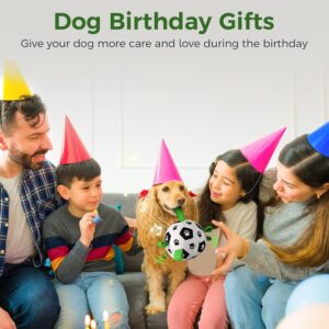 QDAN Interactive Dog Toys, Moving Dog Balls with Straps, Remote Control, Jumping Rolling Bouncing Soccer Ball for Dogs for Small Medium Large Pet