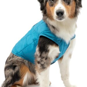 Kurgo Loft Dog Jacket, Reversible Dog Coat, Wear with Harness or Sweater, Water Resistant, Reflective, Winter Coat for Medium Dogs (Coastal Blue, M)