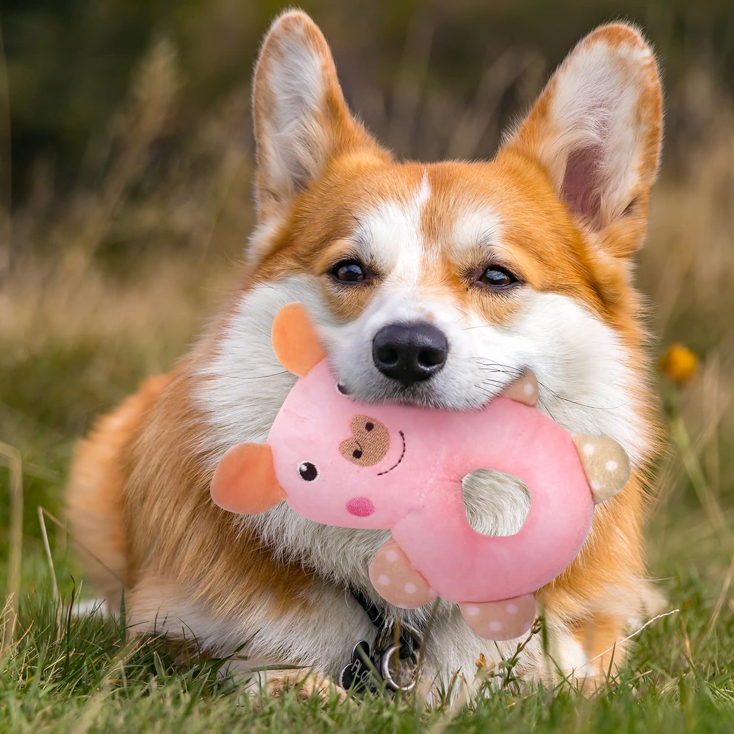 6 Pack Puppy Toys for Teething Small Dogs, Cute Pink Dog Chew Toys for Puppies, Soft Squeaky Dog Toys for Small Breed Cleaning Doggy Teeth, Outdoor Interactive Small Dog Chew Toys Set - Image 8