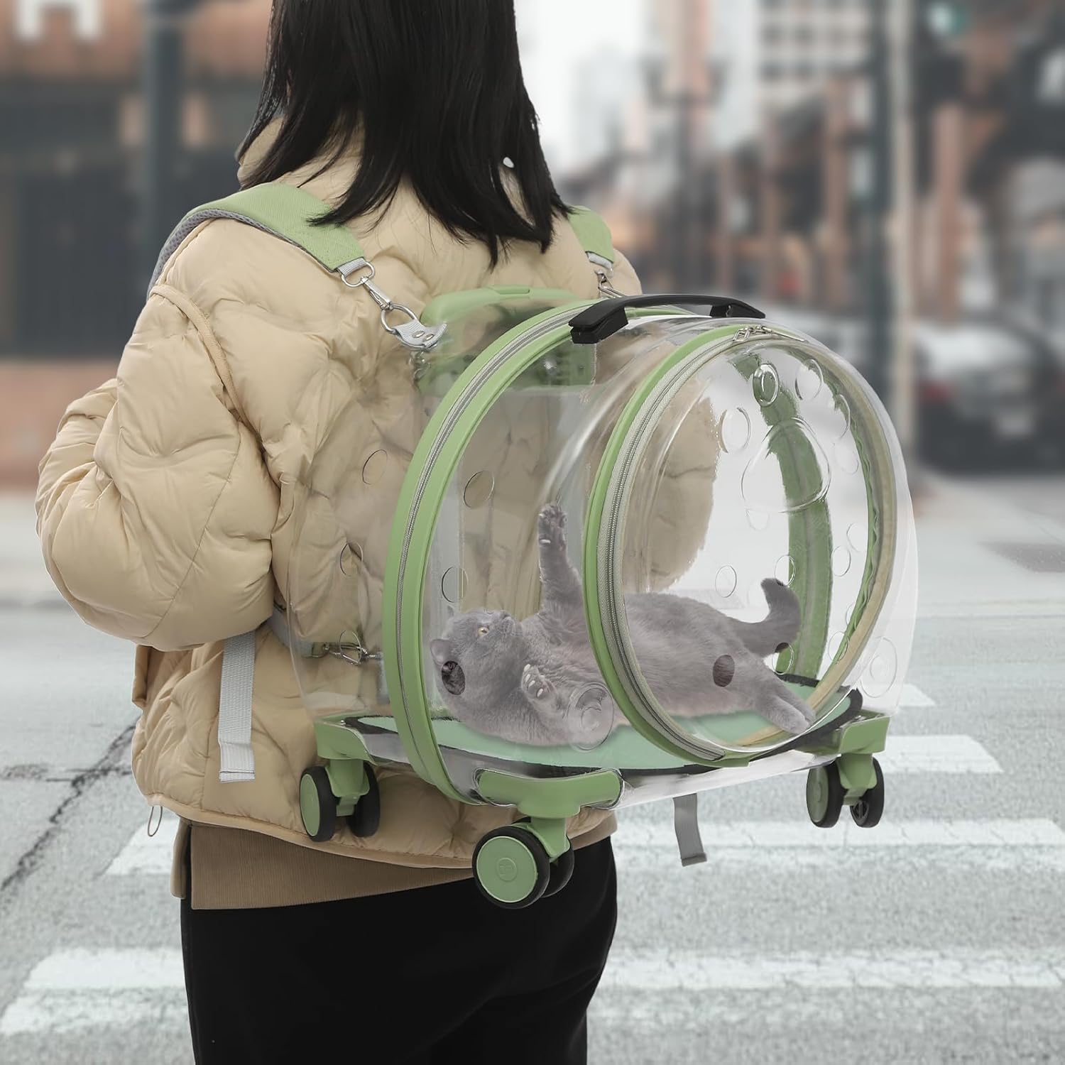 Transparent & Fully Breathable Hard Cat Carrier with Rolling Wheels, Multiple Carrying Carrier for Cats, Dogs, Or Bunnies for Traveling, Taking a Walk, Applicable Weighing up to 19.84lbs (Green,Clear) - Image 5