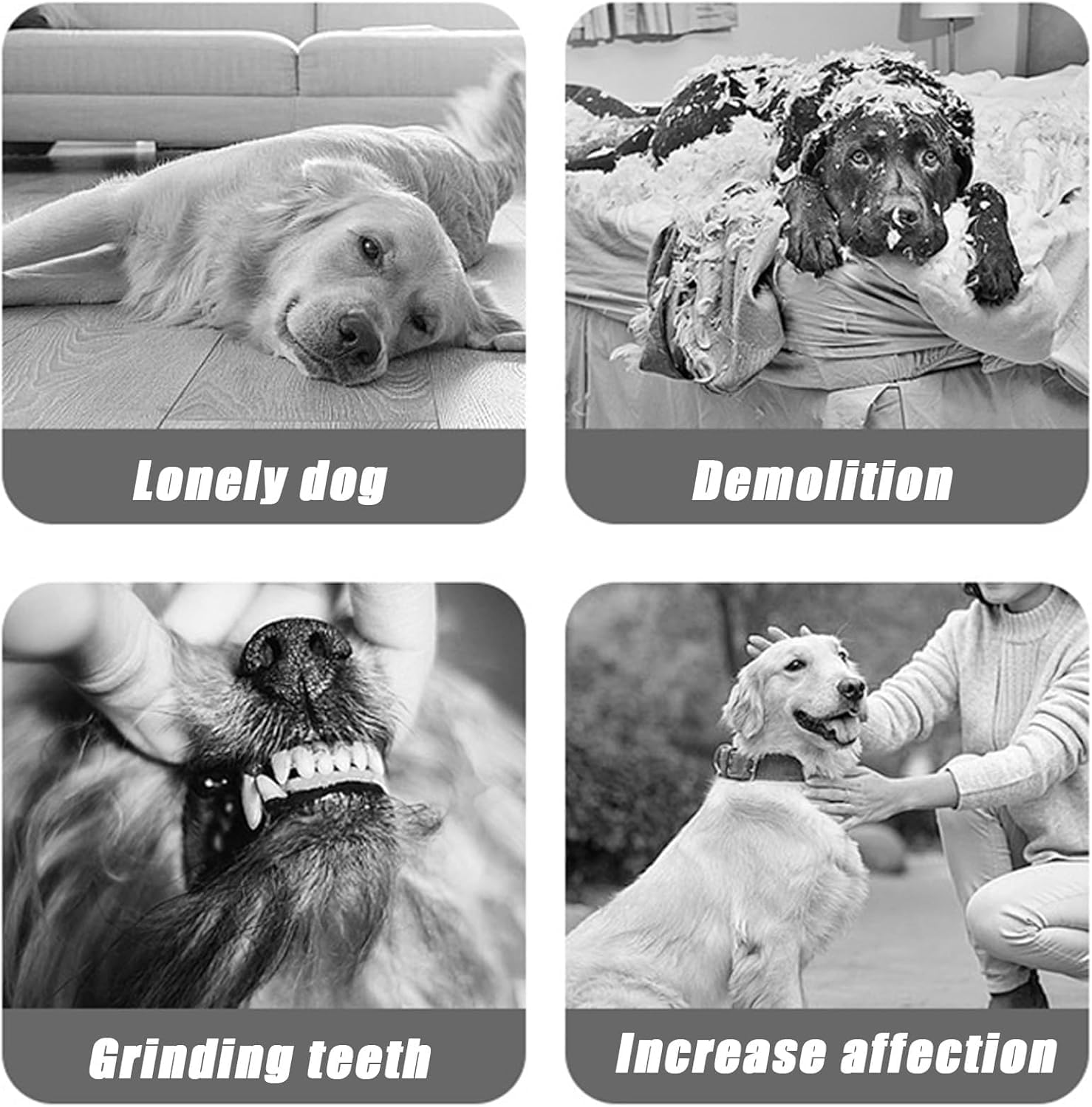 Interactive Dog Toys Ball - Fun Moving Dog Toys to Keep Them Busy | Smart Jumping Ball for Dogs with Three Modes, Rechargeable Automatic, Knot Design, Bite-Resistant and Teeth-Cleaning,Blue - Image 6