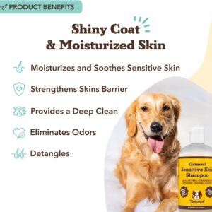 Natural Dog Company Oatmeal Dog Shampoo – Anti-Itch Shampoo for Dogs with Sensitive Skin, Aloe & Oatmeal Formula for Itchy Skin & Dandruff Relief, Safe for Puppies, 12 oz