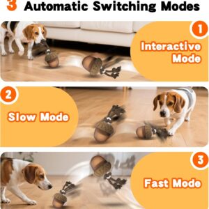 Interactive Dog Toys Ball, Dog Rolling Ball with Motion Activated, Electric Automatic Moving Puppy Toy for Small/Medium Puppy Toys to Keep Them Busy (Acorn)