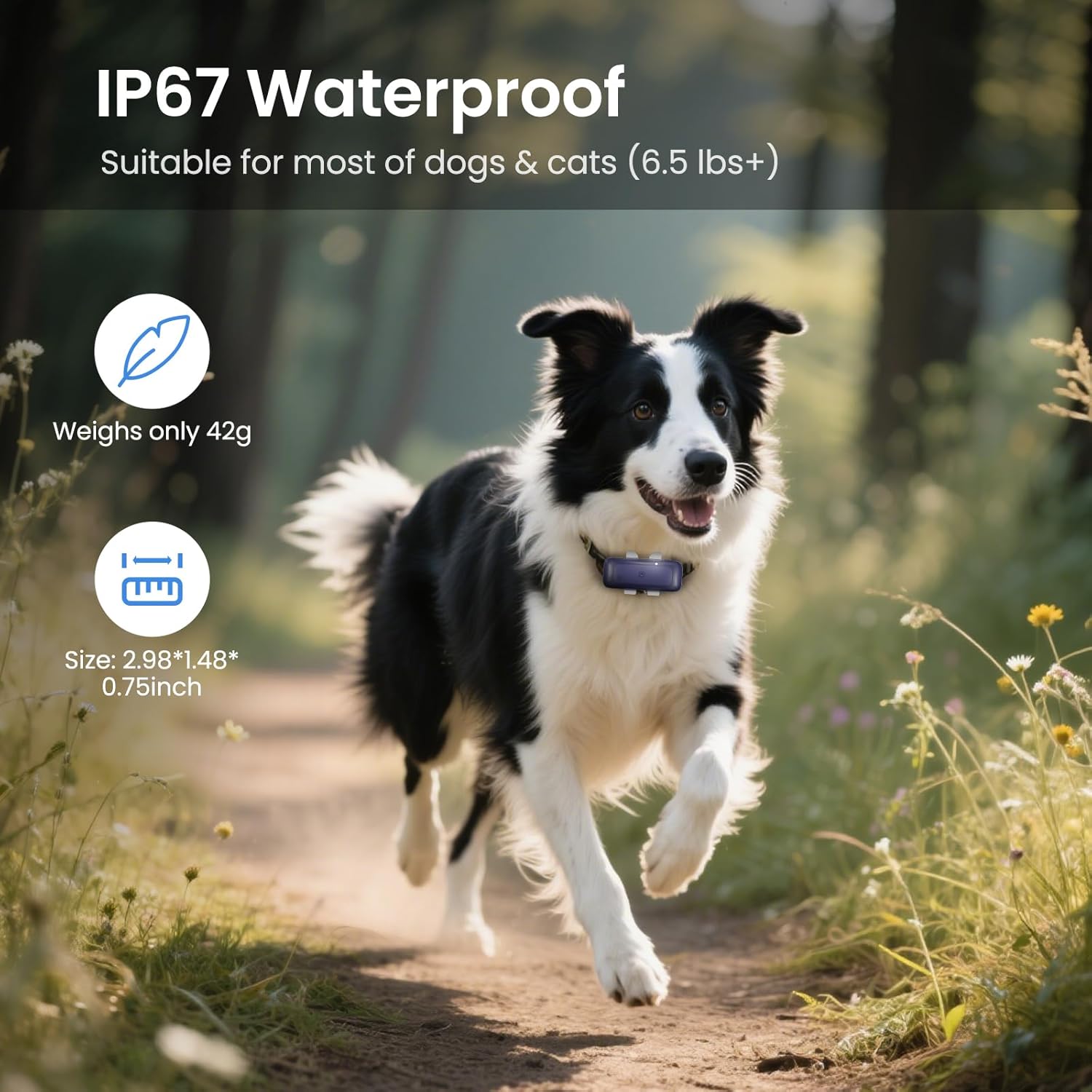 Dog Tracker Cat GPS Tracker Waterproof & Lightweight Mini Tracker Device with Real-Time Location Escape Alerts iOS & Android Fits All Pet Collars - Image 6