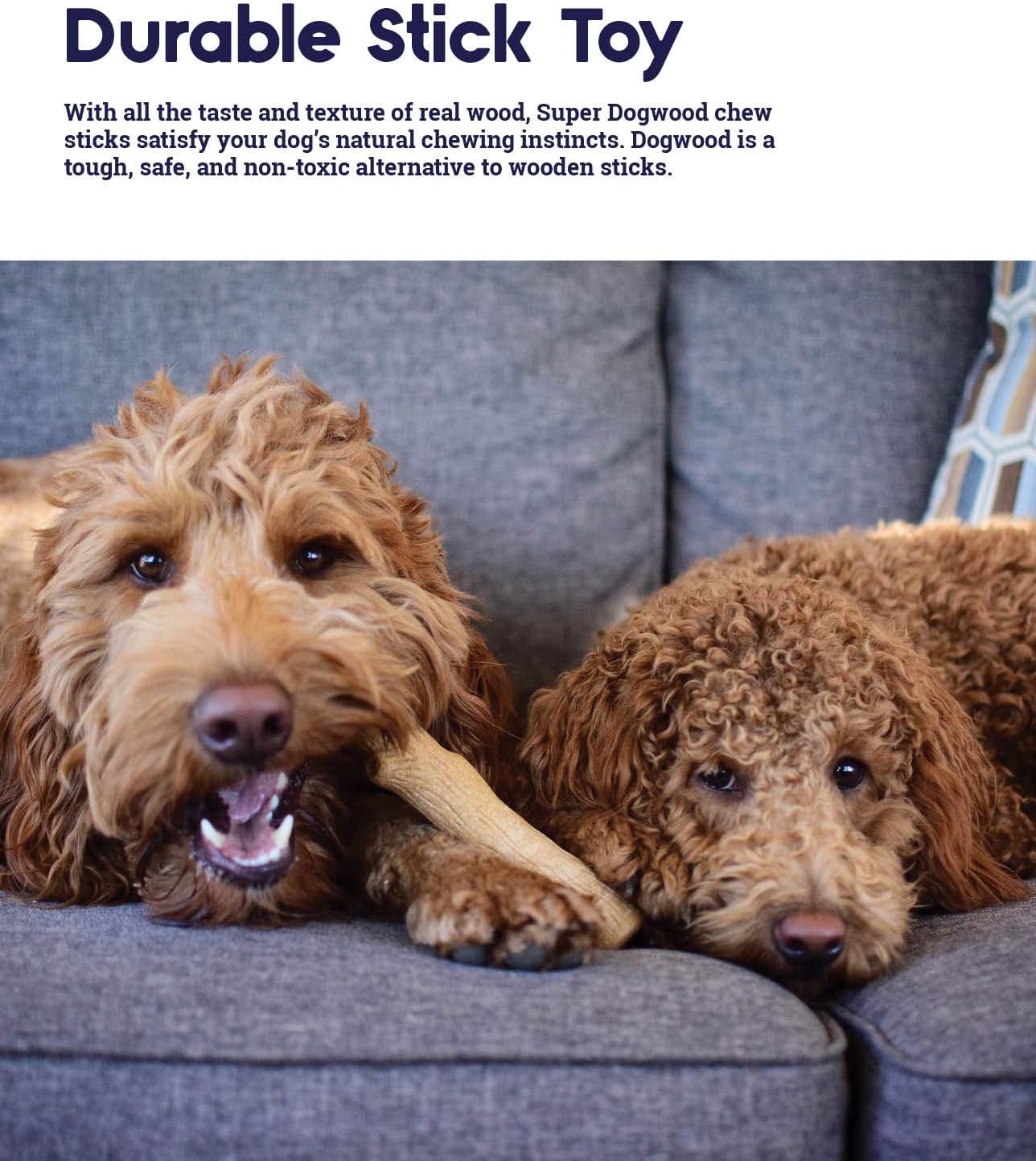 Petstages Outward Hound Super Dogwood Durable Dog Chew Toy, Extra Small - Long Lasting Chew Stick Made with Real Wood - USA Made, XS - Image 4