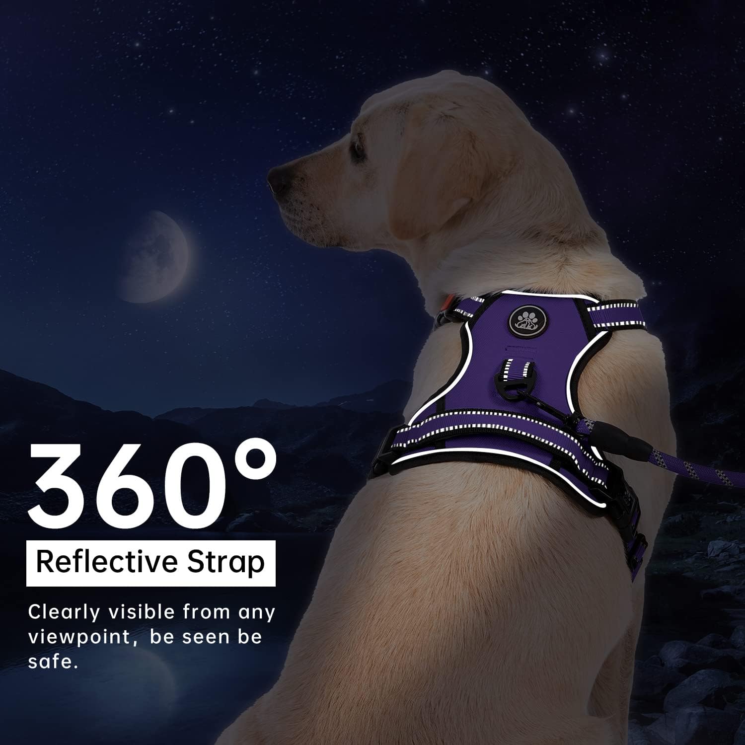 IVY&LANE No Pull Dog Harness for Medium Dogs, Dog Vest Harness with Leash, Safety Belt and Storage Strap, Fully Adjustable Harness, 360° Reflective Strip, Soft Handle (Purple, M) - Image 6