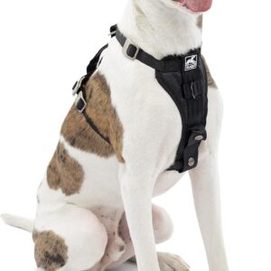 Kurgo Tru-Fit Enhanced Strength Dog Harness – Crash Tested Car Safety Harness for Dogs, No Pull Dog Harness, Includes Pet Safety Seat Belt (Black, Medium)