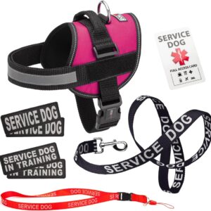 Dogline Service Dog Vest Harness Bundle Service Dog Reflective Leash & Patches Service Dog in Training Set, ADA IDs for Travel Support Therapy Dogs Girth 18 to 25 in Pink