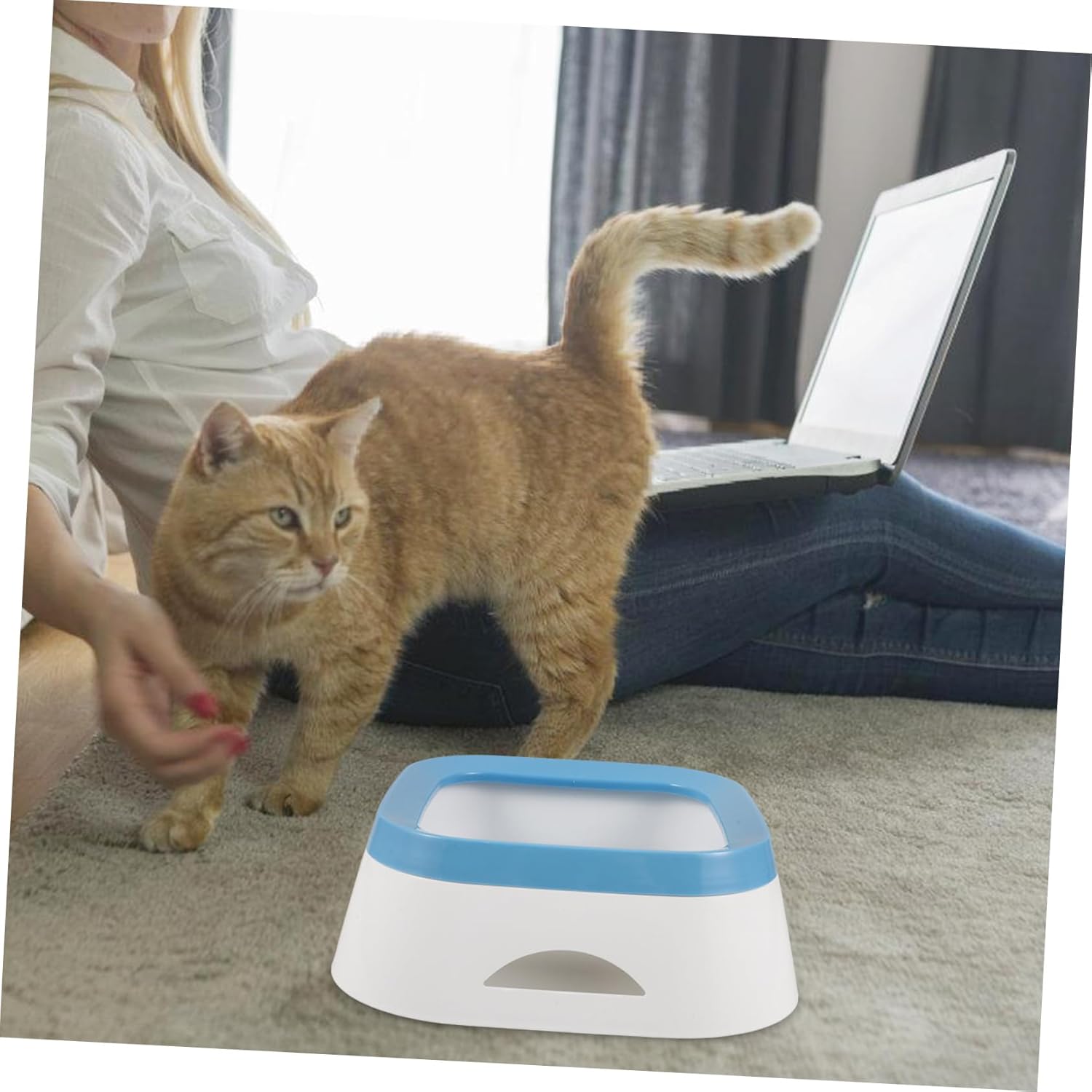 Totority Dog Water Bowl Floating Disk Spill Design for Cats and Dogs Portable Pet Feeder for Travel Safe and Plastic Material for Home and Outdoor Use - Image 2