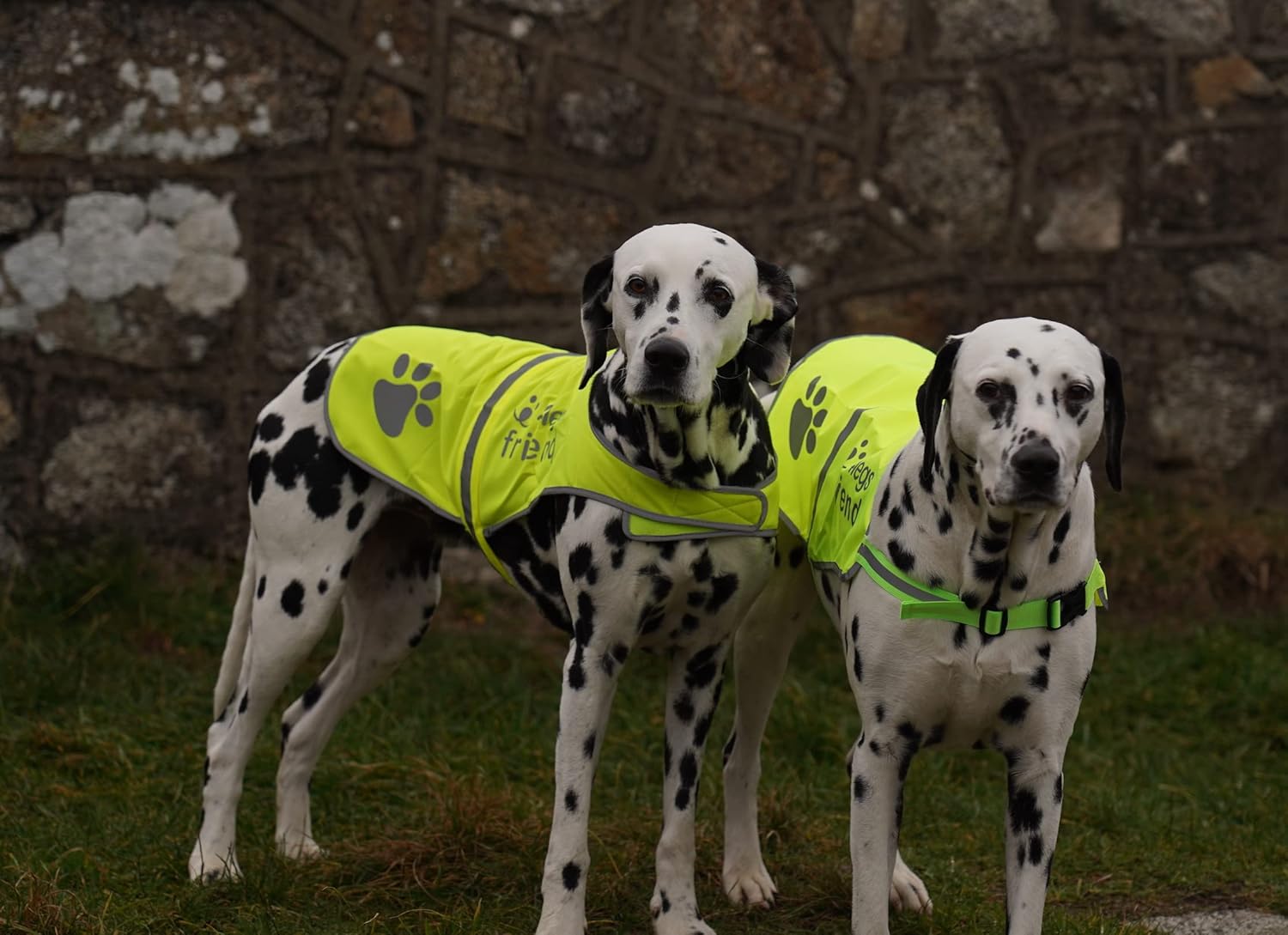 Safety Reflective Vest for Dogs - High Visibility for Outdoor Activity Day and Night, Protect Your Pet from Cars & Hunting Accidents - Image 7