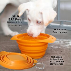 Kurgo Collapsible & Portable Travel Dog Bowl for Food & Water | Portable Water for Dogs | Food Grade Silicone Collapsible Dog Bowl | Pet Travel Accessories | BPA Free | Holdsup to 24 oz | Red