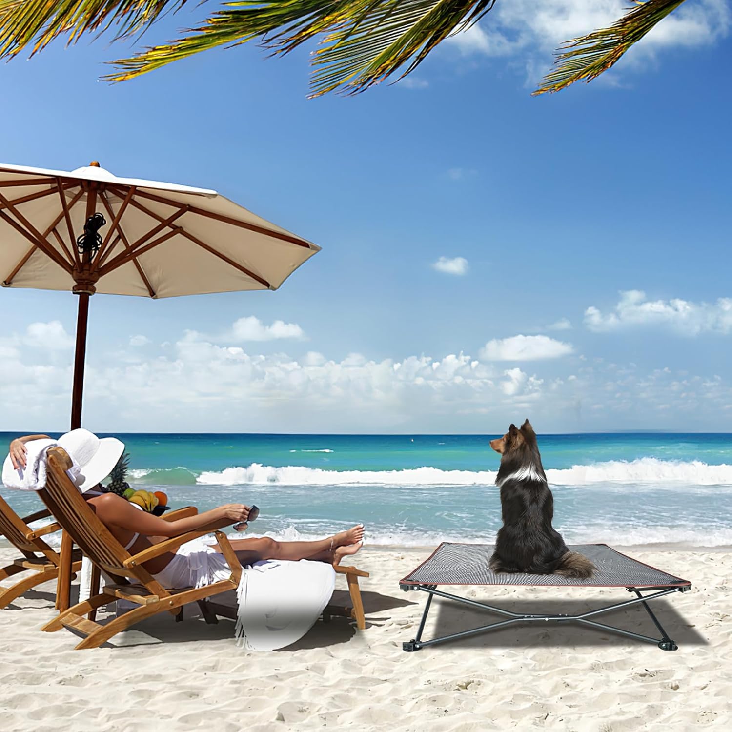 unp Foldable Dog Bed Pop up - 36 x 36 x 10 inch Elevated Pet Cot Outdoor Breathable - Removable Plush Pad & Carrying Bag Raised Dog Camping Bed (Grey, L PRO) - Image 6