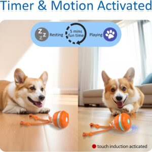 Interactive Dog Toys, Motion Activated Dog Ball, Automatic Rolling Ball Toys for Puppy/Small Dogs